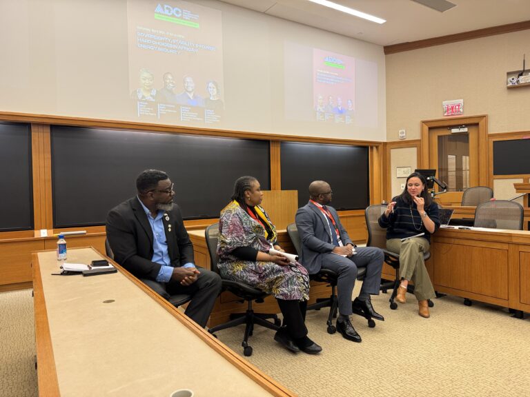 ADC Panel Discussion on Africa's Energy Security